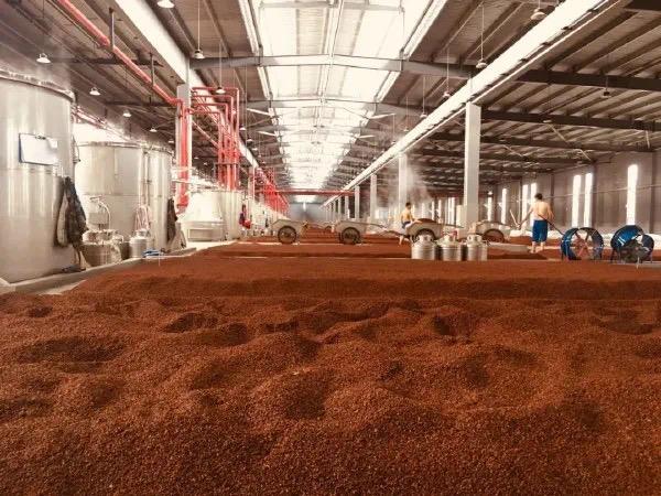 英文名“Chinese Baijiu”启用 重庆酒企：为中国白酒走向海外带来新机遇