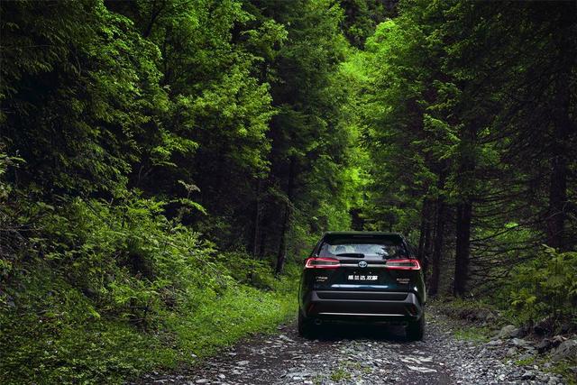 兰达|这个冬天去哪儿耍？威兰达说：哪里都“要得”