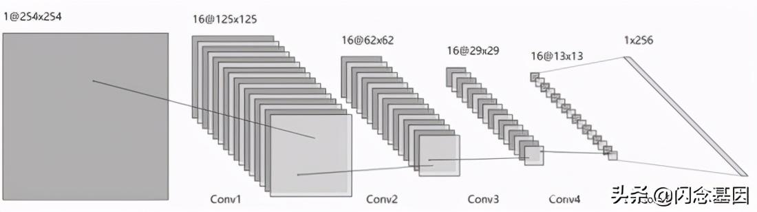 轻量级隐写分析模型