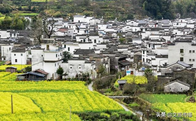 【世界那么大】婺源花艳、景美、人少