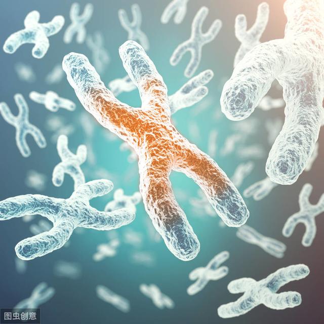 超级宝妈|受孕时，生男生女全靠y染色体，婆婆再念叨就把这篇文章甩给她