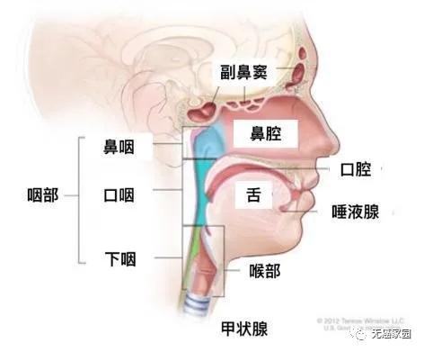 放疗前的准备多