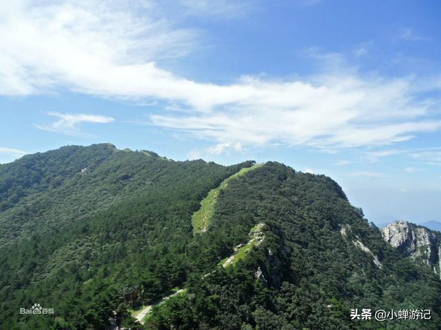 『世界那么大』金寨天堂寨-云雾缭绕、俊峰林立、群瀑飘逸华东最后一片原始森林