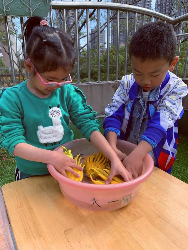 佛手|当孩子遇到佛手，会一场怎样的深秋邂逅？既是非同寻常的中医体验，更是传承着中华文化