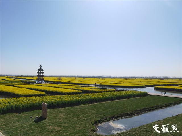 「全国党媒信息公共平台」5G+VR+4K!交汇点带您云赏江苏