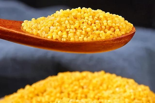 富含|4种“爆款”粗粮你吃过吗？小米还被称为“