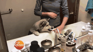 刷牙|8 个牙齿护理的常见错误，改了能帮你省很多钱