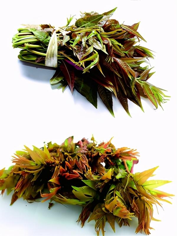 「绍兴市民健康课堂」水果干意想不到的健康好处