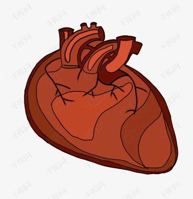 富含|六种食物最护心脏