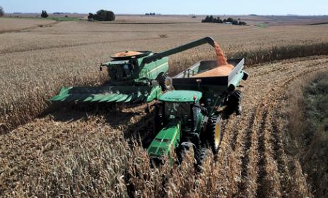 新华财经｜芝加哥农产品期价25日全线下跌