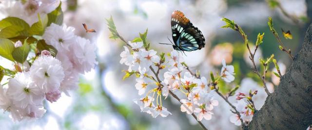 阴阳|“春捂秋冻”到底靠不靠谱？