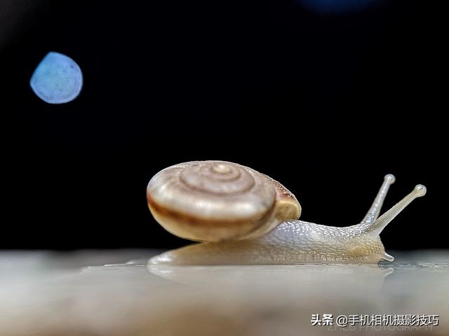 华为Mate 40最大的摄影黑科技是啥？居然是手机壳