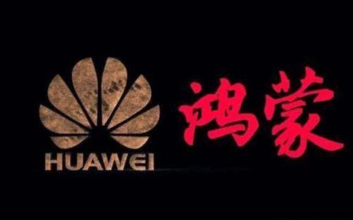 美国如果限制谷歌出口安卓系统，华为小米会怎样？看完长知识了