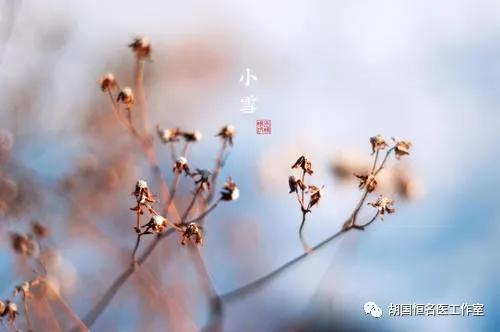 小雪 | 久雨重阳后，清寒小雪前