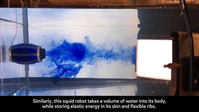 工业之美｜静若灯笼、动如鱿鱼，仿生届又出黑科技产品