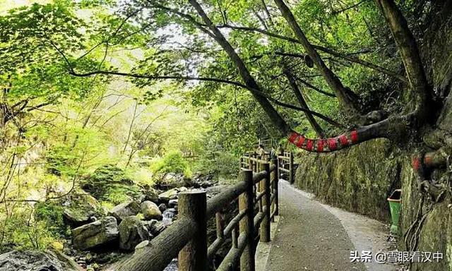【旅行百事通】天热哪里去?到汉中这个景点玩水纳凉咥美食,油门一踩40分钟就到