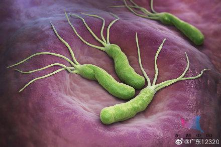 这6种人，尽快去做胃镜检查