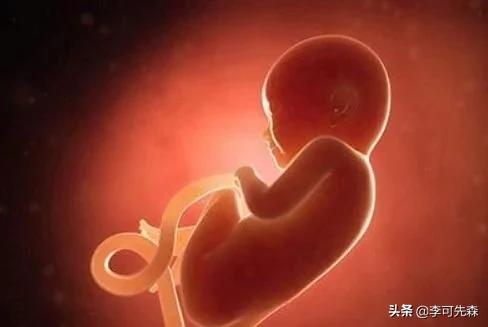 你的育儿经|怀孕最后一个月,胎儿能长多少斤?不清楚的孕妈,不妨了解下