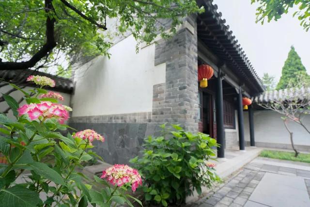 「世界那么大」待春光和煦,共赴一场蓬莱之约 | 这就是山东