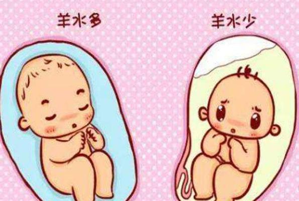 有趣的爱|羊水为啥叫“羊水”？孕妈孕期这样“喝”，羊水质量更好