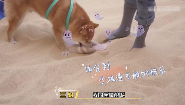 郑爽/柳岩吐槽女演员对年龄的敏感，夸赞费启鸣讲土味情话超自然9号放映厅