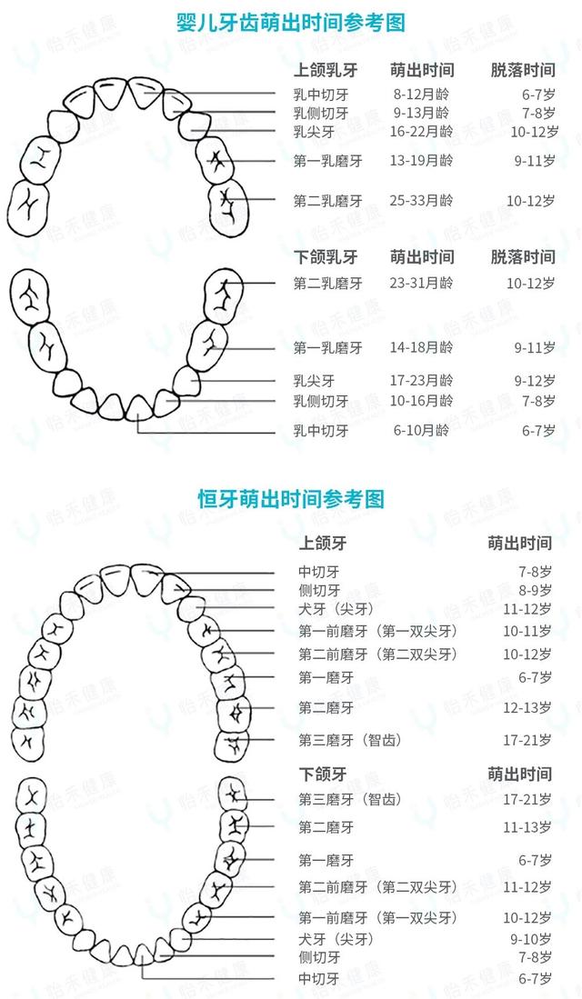 你的育儿经|新手爸妈快数数宝宝现在几颗牙了，小乳牙护理，你做对了吗