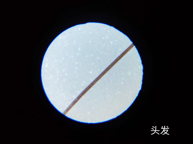【你的育儿经】小米有品黑科技，120X无极变倍，六一儿童节给孩子大礼物