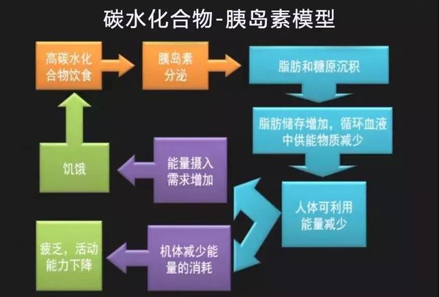 英国医生：少吃主食多吃肉，国家一年省3.5亿