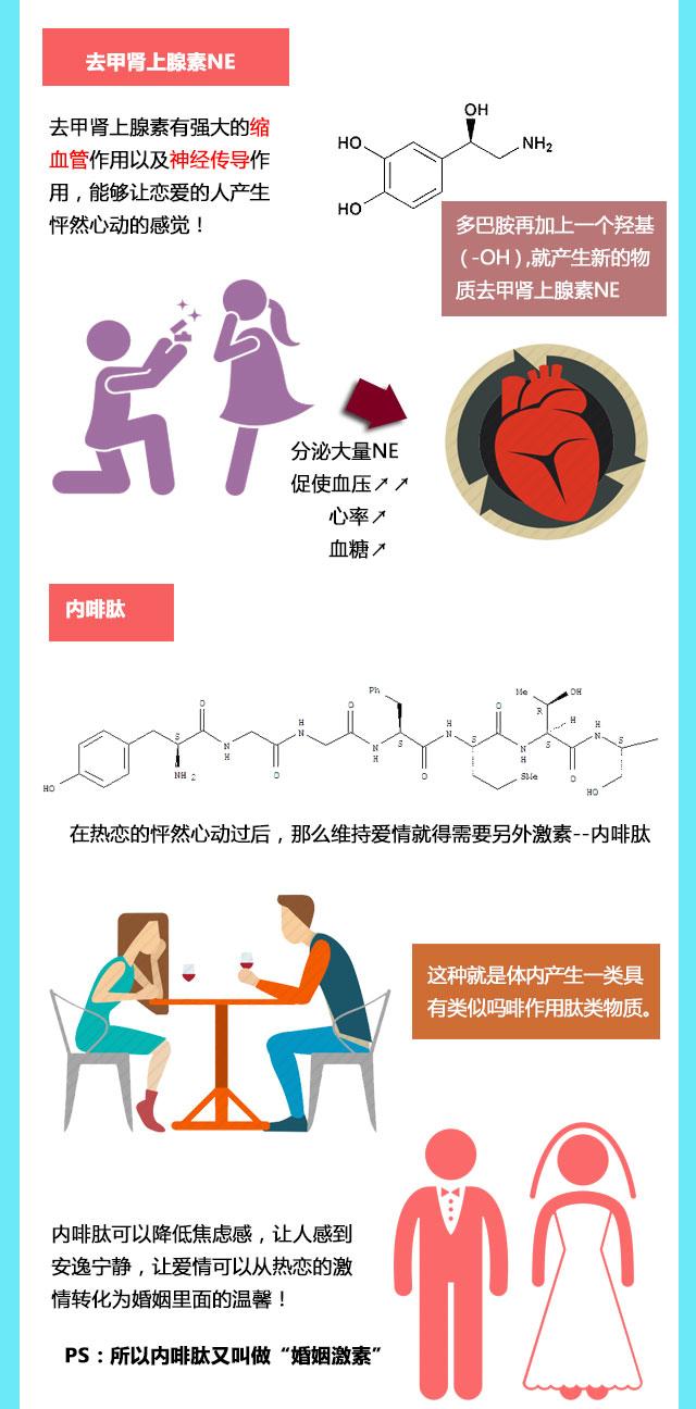 光棍节特辑：告别单身谈何容易！一图告知：医学上的爱情是什么？