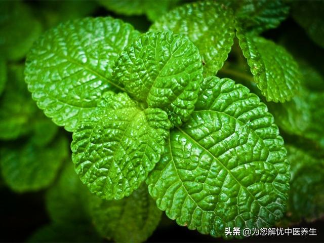 超级宝妈|产后的桂枝汤