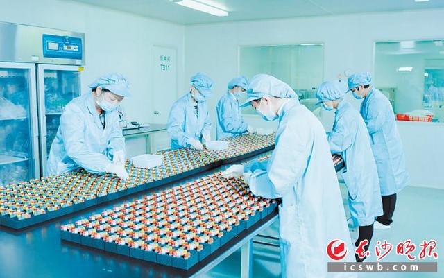 书写高质量发展新篇章 长沙高新区2020年经济发展纪实