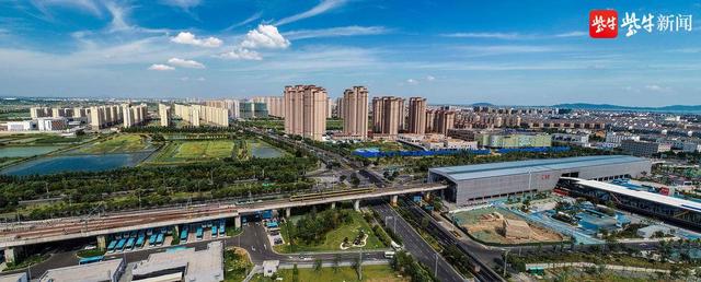 南京高淳发布"紫金山英才