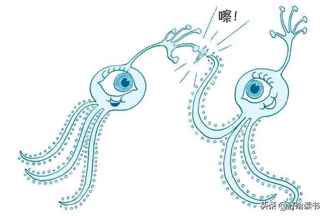 【你的育儿经】《学会如何学习》：大脑是神奇的工具箱，你只需要学会如何使用它