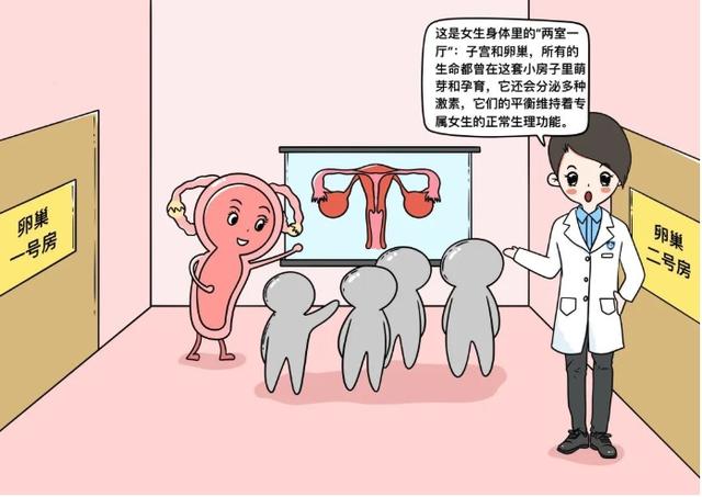 凉水|月经期不能洗头，喝凉水会致不孕？