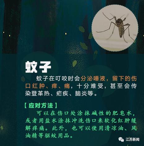 咬伤|被它咬了一口，女子窒息身亡！医生：第一时间应这样做