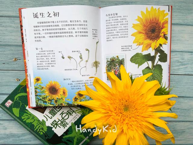 [你的育儿经]好玩易上手的自然探索实验，春天必备，宅家就能带孩子做起来！