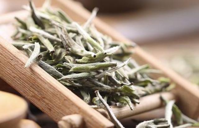 体质|春天肝气旺盛应喝什么茶？怎么合理的喝茶？