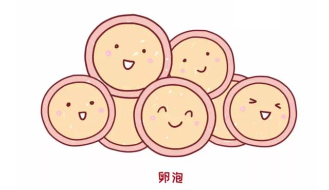 而卵泡没有破裂,卵子就无法正常排出,自然也就无法与精子正常见面了.