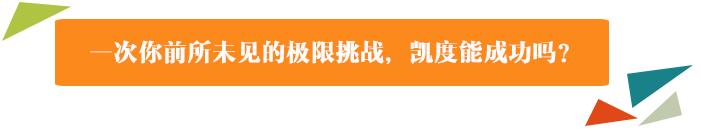 前所未见的饼干多米诺骨牌来了！凯度双热风蒸烤一体机挑战极致均匀