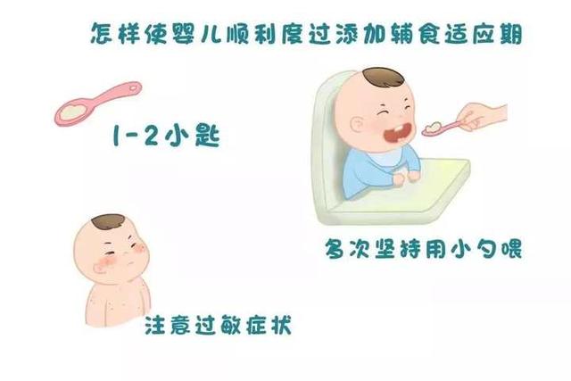 初为人母，还在为宝宝辅食苦恼？医生特别提醒：这些顺序可不能错