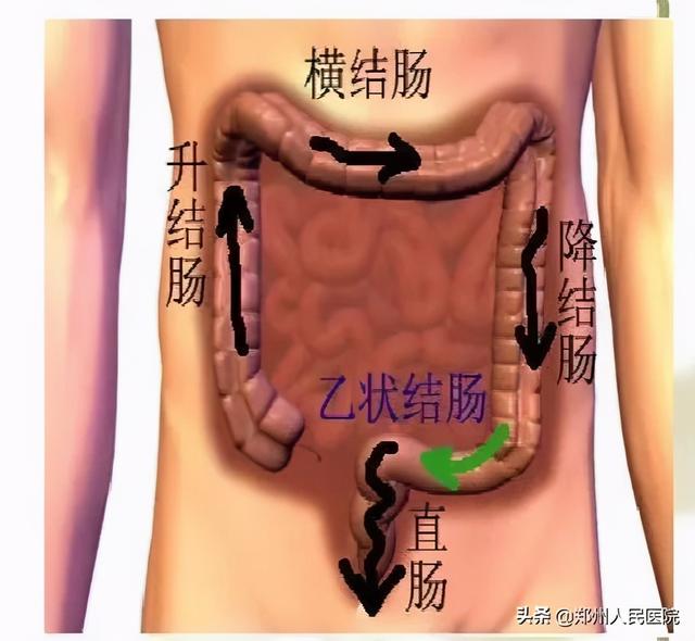 你试过跟肠胃“沟通”吗？那感觉，真爽