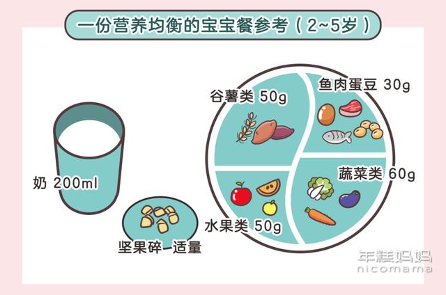 栀蓝：娃多大吃“大人饭”？一餐吃多少？3张图搞清楚