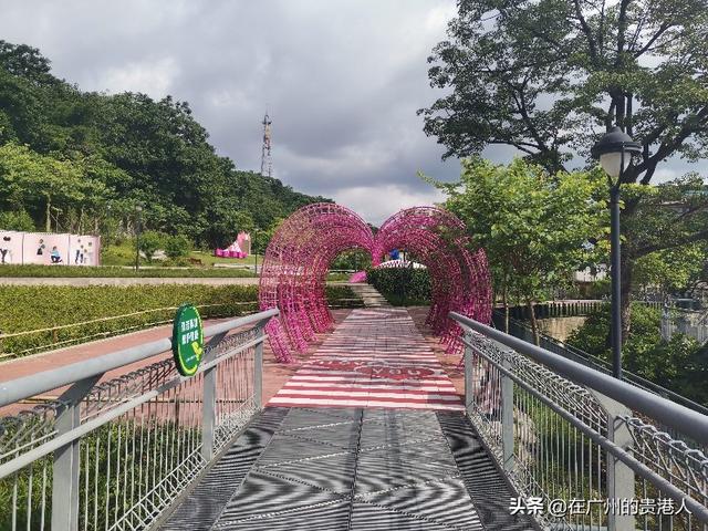 【山楂味的诗】走马观花,看顺德大良。