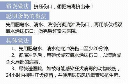 你的育儿经|实用帖！孩子容易磕伤碰伤，聪明爸妈都是这么处理