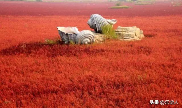 #行路万里#辽宁竟私藏了一片颜值超高的红海滩