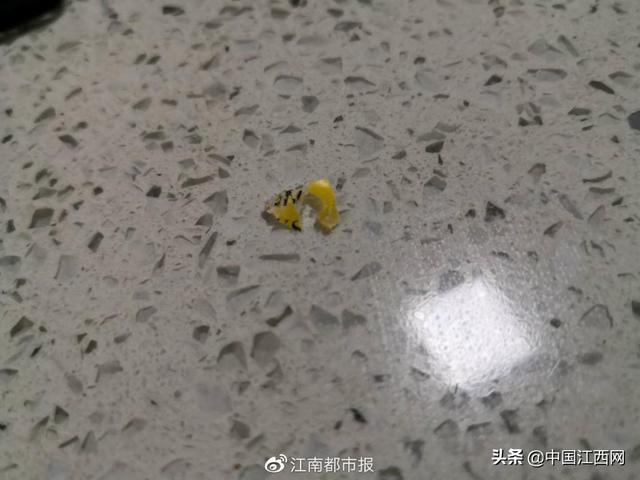 【中国江西网】美素佳儿奶粉中竟发现黄色异物？南昌山姆会员店：不存在质量问题