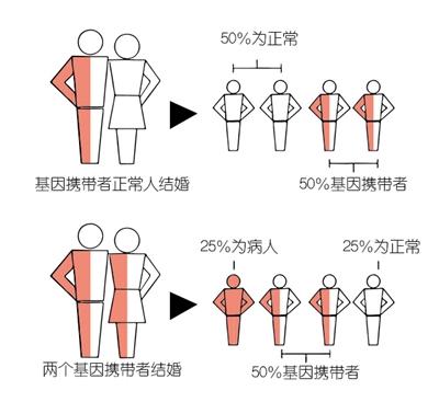 「你的育儿经」爱人也是地贫携带者，还能结婚生子吗？