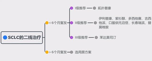 用5张图，带你了解2020年小细胞肺癌最新治疗方式