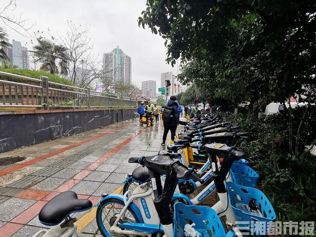 两日清退4万余辆无牌共享电单车，长沙正筹建互联网租赁自行车平台计划年底上线