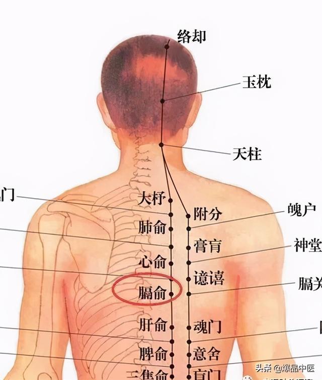 神奇的八会穴，拍打可调理多种疾病